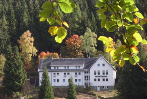Гостиница Greizer Kammhütte Gaststätte & Pension, Клингенталь